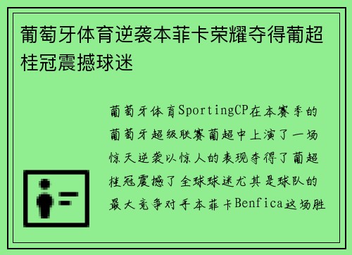 葡萄牙体育逆袭本菲卡荣耀夺得葡超桂冠震撼球迷 葡萄牙体育逆袭本菲卡荣耀夺得葡超桂冠震撼球迷